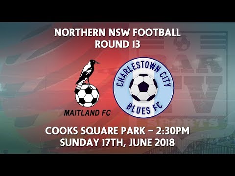 2018 NNSWF NPL Round 13 - Maitland Magpies FC v Charlestown City Blues