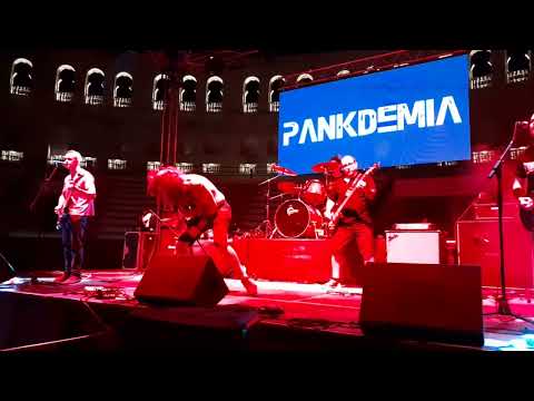 pankdemia plaza toros caudete