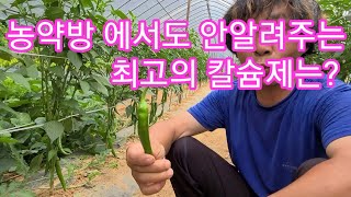농약방 에서도 안알려주는 최고의 칼슘제는?~ 고추,석회결핍  참외 오이 노균병 ,흰가루병 탄저병 담배나방 방…