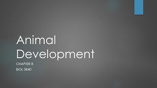 3840_Chapter 8: Animal Development