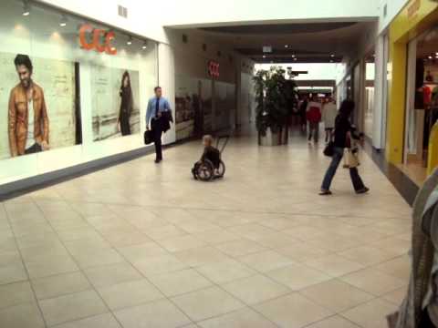 YouTube video preview image