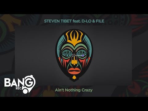STEVEN TIBET feat. D-LO & FILE - Ain’t Nothing Crazy