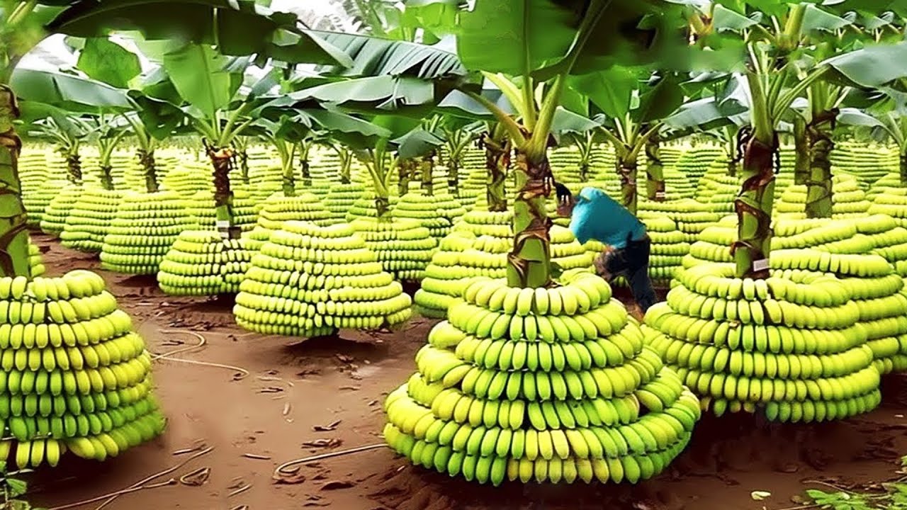 احدث الالات الزراعيه