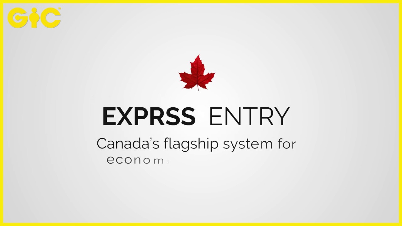 Awesome Flat Icon Explainer Video