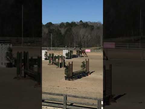 Odelia - pre-children’s