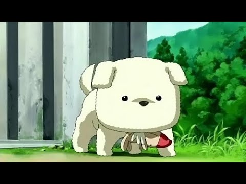 Lunitik Novae x Majin Blue 42 - BIG DAWG [OFFICIAL VIDEO] Produced By @FredOnEm