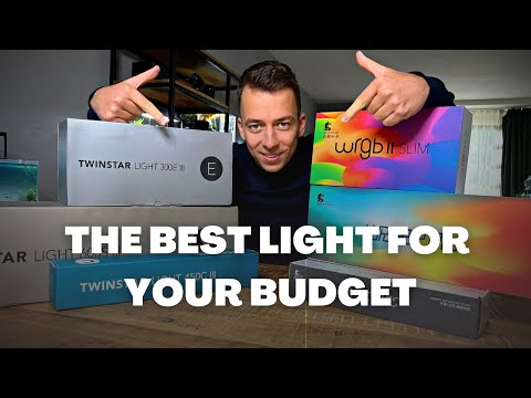 THE BEST PLANTED TANK LED LIGHTS (Cheap & Expensive)
