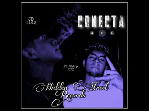 La conecta (Guanajuato,Puebla)