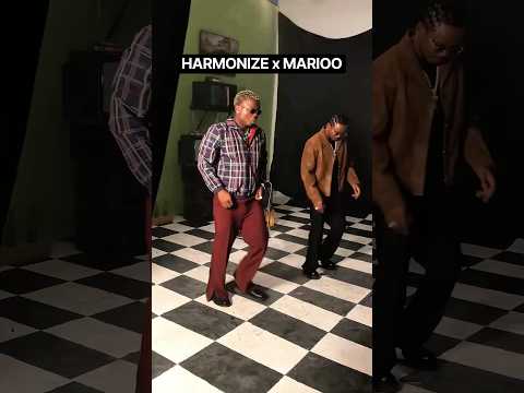 Harmonize na Marioo katika ubora wao #mashabikiwaharmonize #harmonize #kajala #marioo #kondegang