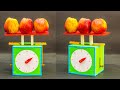 Science Fair Projects | Weighing Scale Working Model