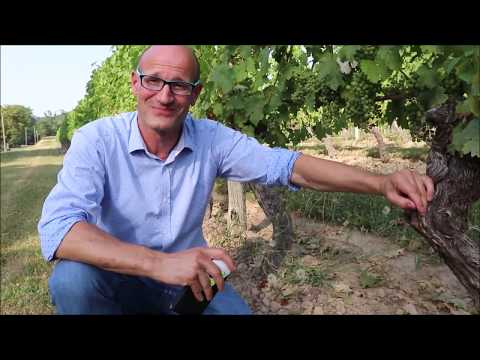 Video-Interview mit Olivier Bourdet-Pees