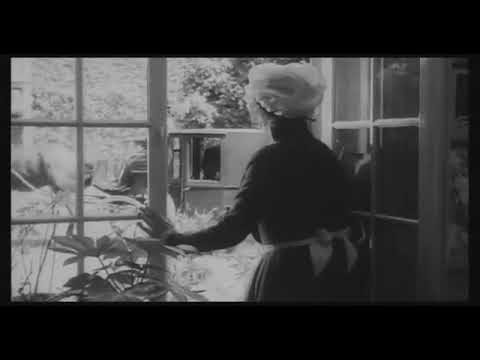 Víctor de Aveyron; el niño salvaje. {Filosofía}