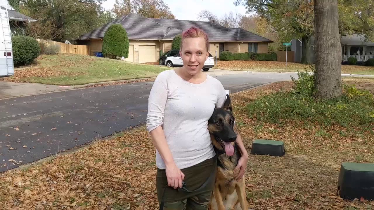 Tip Top K9 Reviews | Tulsa Obedience Training | Tip Top K9 | Harley