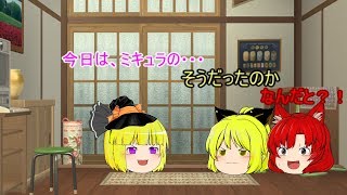 【ゆっくり茶番】今日は、私の・・・なのです！