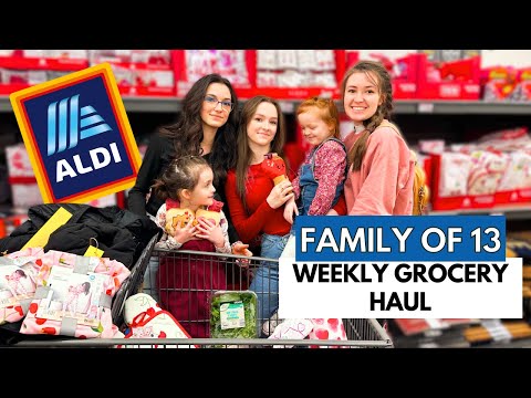 Shop With Me! Weekly ALDI GROCERY HAUL! Whats New 2024✨