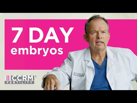 7 Day Embryos