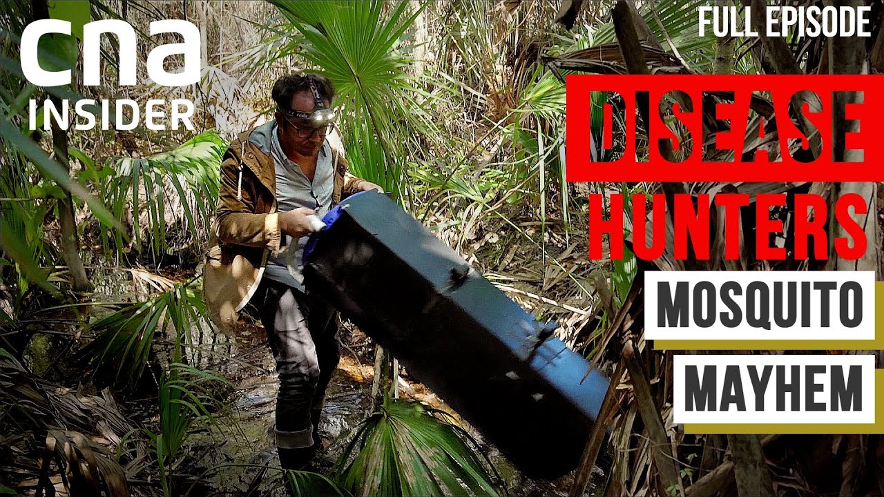 Mosquito Mayhem: A Bloody Fight Against Mosquito-Borne Diseases | Disease Hunters | Part 3/3