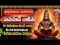 LIVE Hanuman Chalisa Tuesday Special Devotional Songs 2024 Powerful Telugu Bhakti Songs