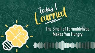 Today I Learned: The Smell of Formaldehyde Makes You Hungry