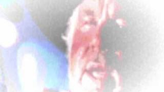 Kenny rogers sings.. Long arm of the law.wmv