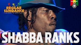 Shabba Ranks Live at Reggae Sundance 2016