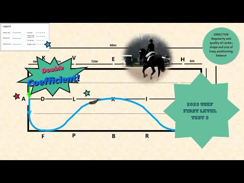 2023 USEF FIRST LEVEL TEST 3