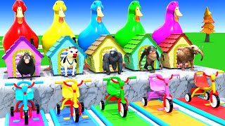 Long Slide Game with Cow Elephant Gorilla Hippopotamus Tiger 3d Animal Game Funny 3d Animals