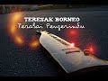 TERESAK BORNEO - Terabai Pengerindu (Official Lyric Video) 2018