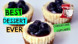 How to Make Mini Cheesecakes I Episode 4 Baking with Ryan