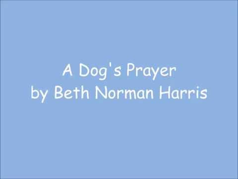 download lagu mp3 mp4 A Dogs Prayer, download lagu A Dogs Prayer gratis, unduh video klip A Dogs Prayer