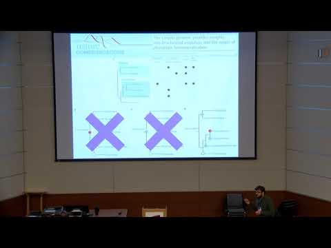 Assessing the fossil evidence for the ‘biomineralization toolkit’