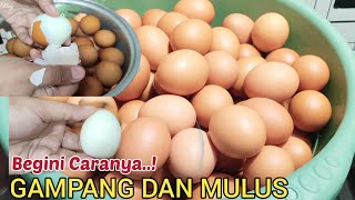 Download lagu TIPS ON HOW TO BOIL EGGS SO THEY ARE EASY TO PEEL AND DO NOT BREAK | THIS IS HOW TO BOIL EGGS IN ... mp3 Download lagu TIPS ON HOW TO BOIL EGGS SO THEY ARE EASY TO PEEL AND DO NOT BREAK | THIS IS HOW TO BOIL EGGS IN ... mp3