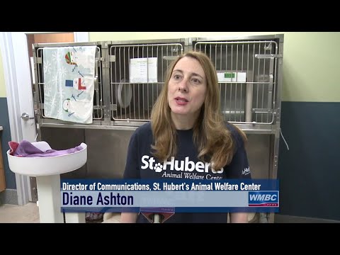 NJ Madison Saint Hubert’s Animal Welfare Center Pet Rescue & Adoption