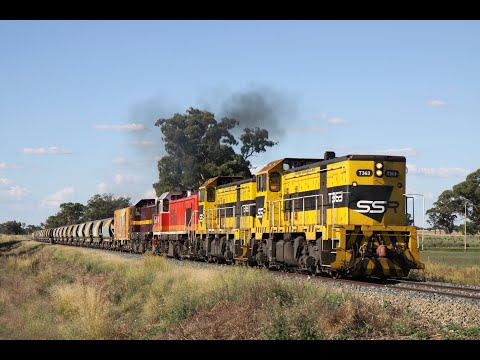 Australian diesel locomotives T363, T381, 4701 & 4716 - Dubbo to Stockinbingal - January 2011