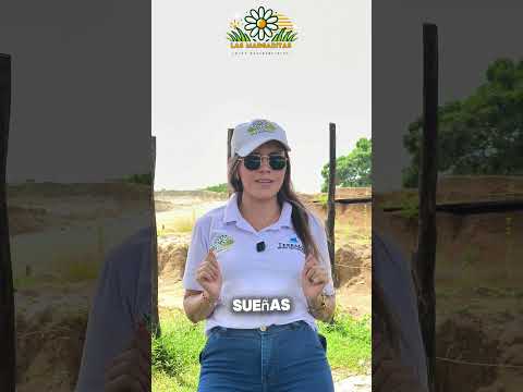 ¿ Lotes Amplios en Corozal Sucre? aquí tenemos  Las Margaritas Lotes Residenciales #terramarrealtor