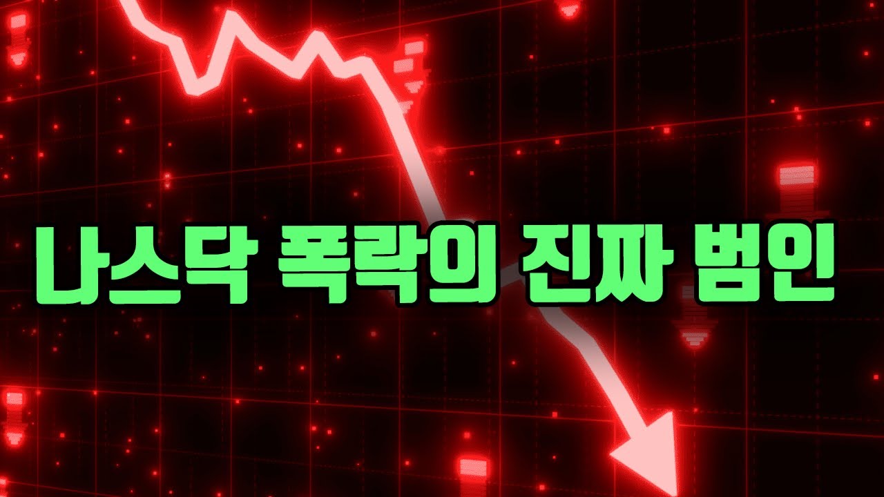 나스닥 폭락의 진짜 범인