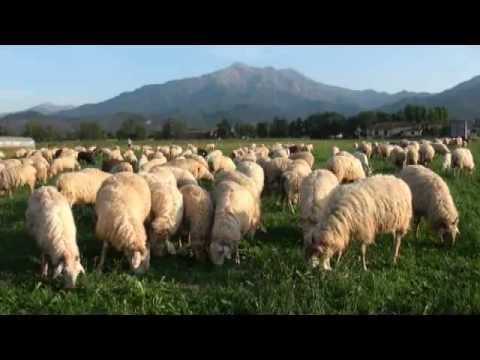 Gente di Boves 2 - 2012