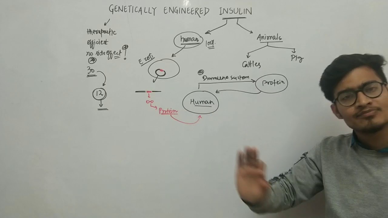 L5: Genetically engineered insulin- Applications of Biotechnology in Medicine by Vipin Sharma