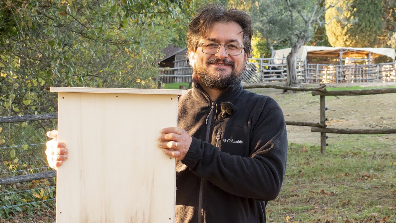 Watch Now Come costruire una bat box Come costruire una bat box