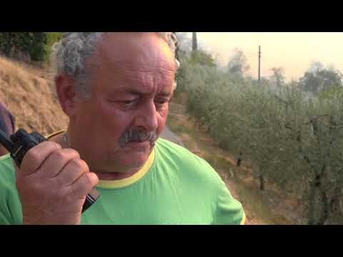 Casalguidi. Firefighting operations are still underway.