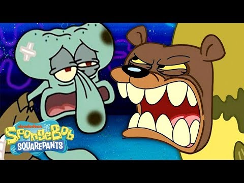 The Sea Bear Attacks Squidward, SpongeBob & Patrick! 🐻 SpongeBob SquarePants