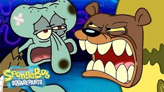 The Sea Bear Attacks Squidward SpongeBob & Pat