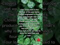 Clover Plant|Sign Of Luck #shorts #facts #clover #shortvideo