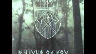 Taake - Intro + Nattestid Ser Porten Vid Part VI (a night of fog)