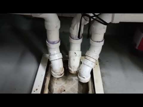 Buckets of Dirty Water Leads to Fruit Fly...