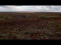Там на самом на краю земли. Пикник 