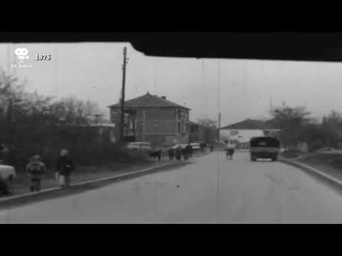 Gostivari i viteve 1975