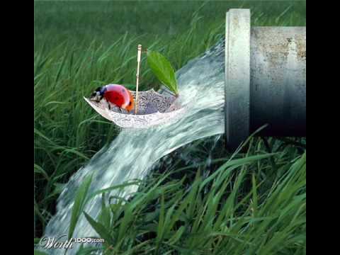 Cand Ganduri Rele...Tu este paza vietii mele- Eden- Spania