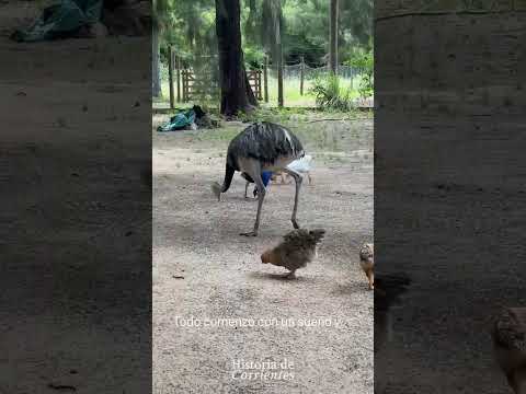 Almacén de Ramos Generales Doña Mbita