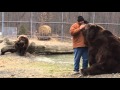 Kodiak bear grabs Jim back as he walks away...